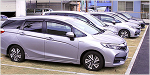 Switching out Company Cars for Hybrids and Other Eco-Friendly Vehicles
