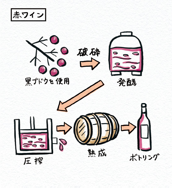 赤ワインの製法　黒ブドウを使用　破砕　醱酵　圧搾　熟成　ボトリング