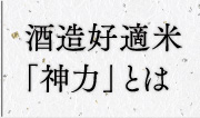 酒造好適米「神力」とは