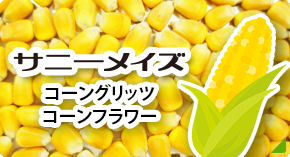 サニーメイズ コーングリッツコーンフラワー