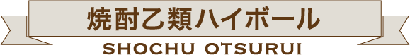 焼酎乙類ハイボール