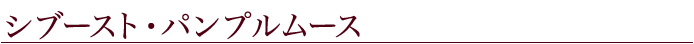 シブースト・パンプルムース