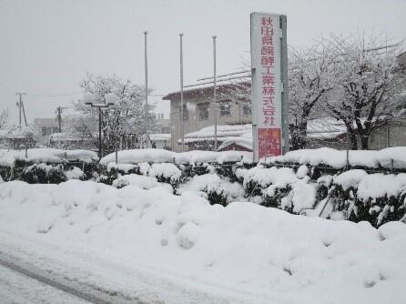 秋田雪画像.jpg