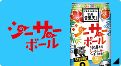 シーサーボール