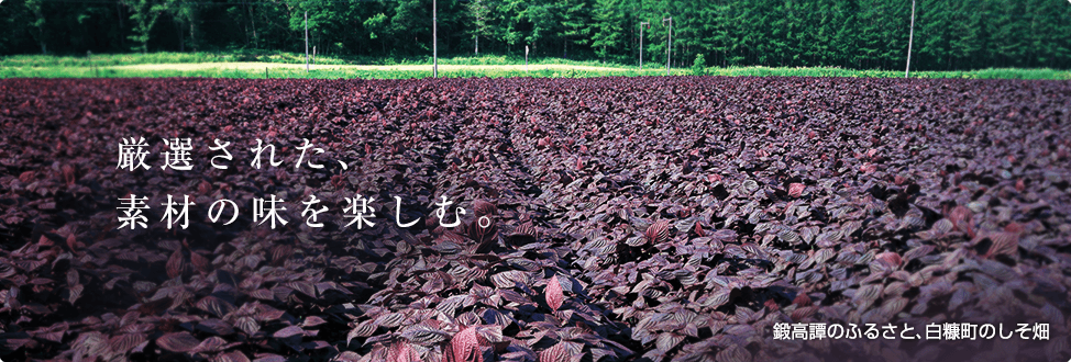 厳選された、素材の味を楽しむ。鍛高譚のふるさと、白糠町のしそ畑