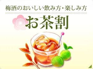 梅酒のおいしい飲み方・楽しみ方 お茶割