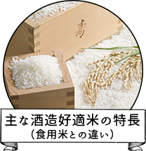 主な酒造好適米の特長（食用米との違い）