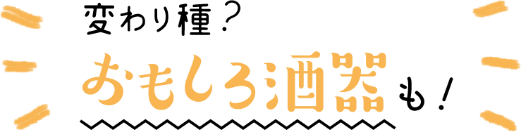 変り種？おもしろ酒器も！