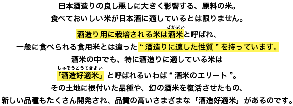 日本酒造りの良し悪しに大きく影響する、原料の米。食べておいしい米が日本酒に適しているとは限りません。酒造り用に栽培される米は酒米と呼ばれ、一般に食べられる食用米とは違った“酒造りに適した性質”を持っています。酒米の中でも、特に酒造りに適している米は「酒造好適米」と呼ばれるいわば“酒米のエリート”。その土地に根付いた品種や、幻の酒米を復活させたもの、新しい品種もたくさん開発され、品質の高いさまざまな「酒造好適米」があるのです。