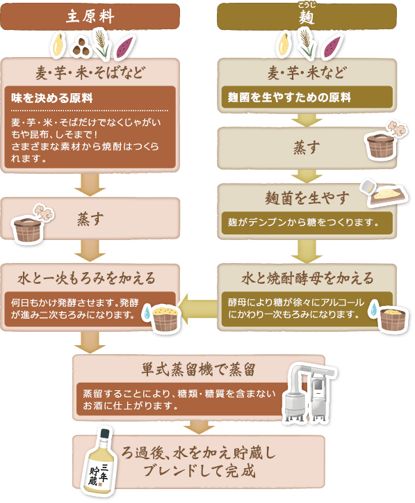 乙類焼酎の製造工程は、まず一次もろみを作ることから始まります。麦・芋・米などの麹菌を増やすための原料を蒸し、麹菌を生やすことで、麹がデンプンから糖をつくります。そこに水と焼酎酵母を加えます。酵母により糖が徐々にアルコールにかわり「一次もろみ」となります。次に味を決める、麦・芋・米・そばなどの原料を蒸します。麦・芋・米・そばだけでなく、じゃがいもや昆布、しそまで、さまざまな素材から焼酎はつくられます。そこに水と「一次もろみ」を加え、何日もかけ発酵させます。発酵が進み「二次もろみ」になります。次に、「単式蒸留器」で蒸留します。蒸留することにより。糖類・糖質を含まないお酒に仕上がります。最後にろ過し、水を加え貯蔵し、ブレンドして完成となります。